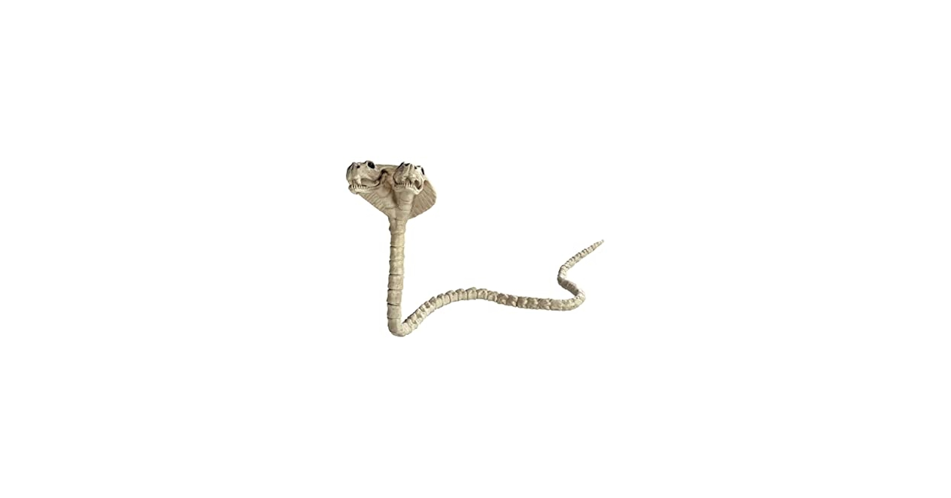 藤井保　SKELETON skeleton_2.jpg